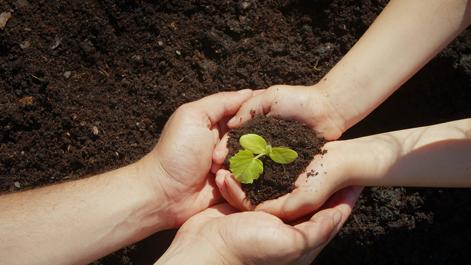 Видео. Дивизион «Экологические решения»