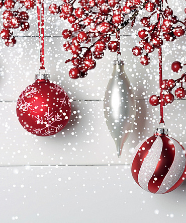 С Новым годом уважаемые коллеги! С Новым годом уважаемые коллеги!